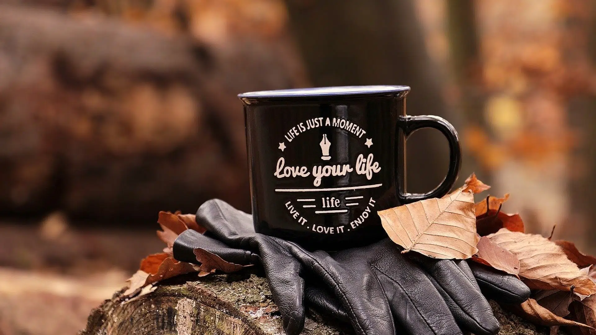 Comment choisir des gants de travail ?