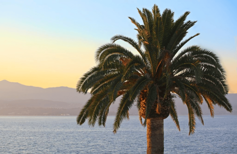 Est-ce le bon moment d’acheter un appartement à Ajaccio