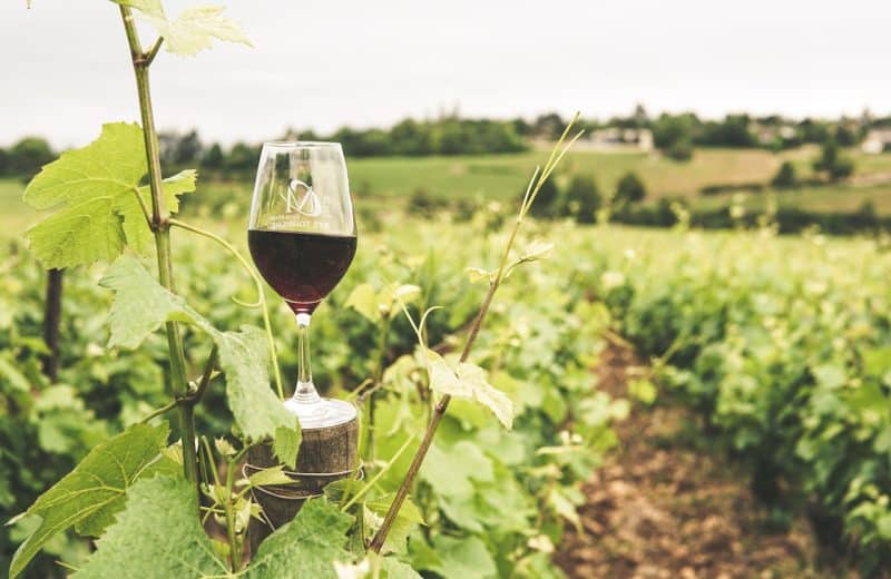 Où investir dans le vin en 2020 ?