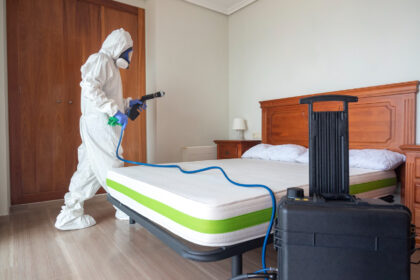 Quel traitement professionnel est le plus efficace contre les mites textiles ?
