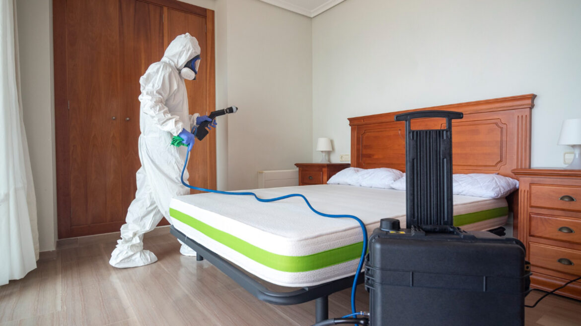 Quel traitement professionnel est le plus efficace contre les mites textiles ?